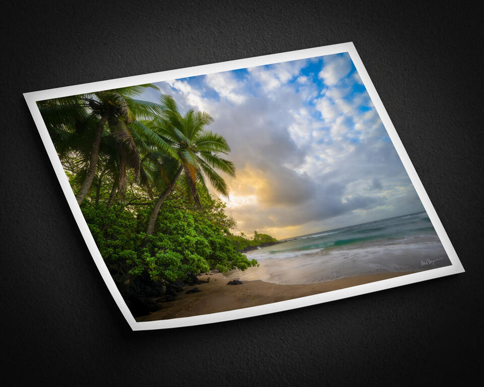 print preview