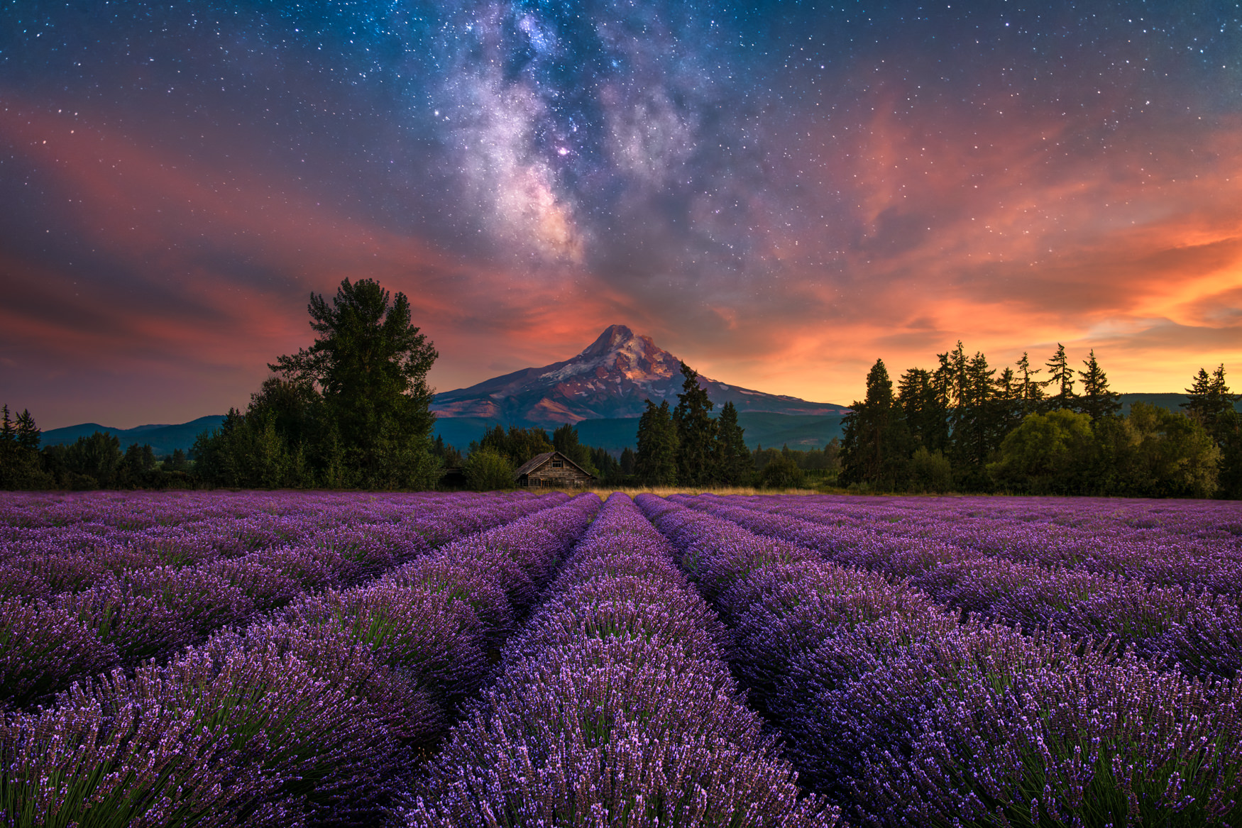 BELIEVE IN MAGIC The culmination of an evening spent at a Lavender Farm in the foothills of Mt. Hood as a vibrant sunset turns to a brilliant display of the Milky Way.