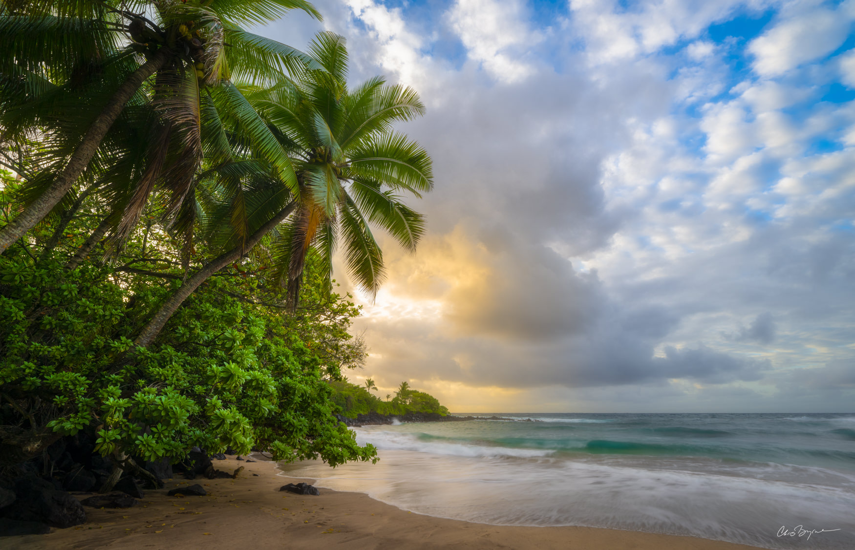 ESCAPE Smooth waves and a sandy shore against palm trees at sunset with clouds in the sky just starting to glow yellow and orange.