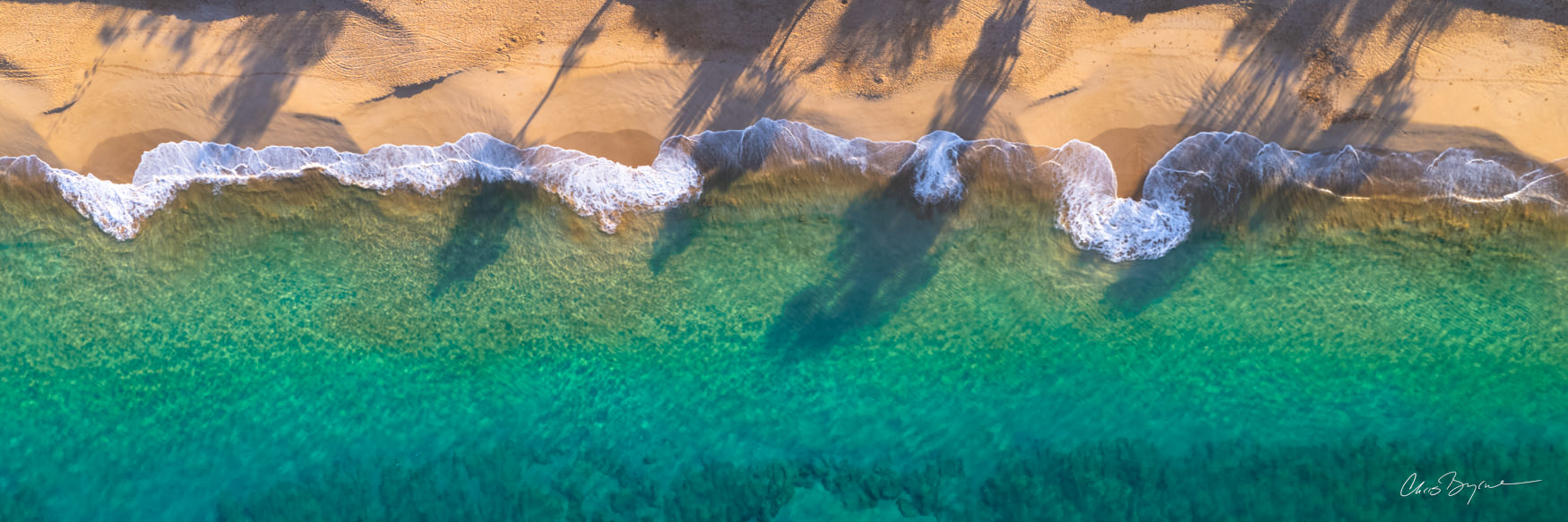 DAYDREAMS Crystal clear turquoise waters, palm trees blowing in the wind, and the sounds of crashing waves. Are you dreaming of a vacation...