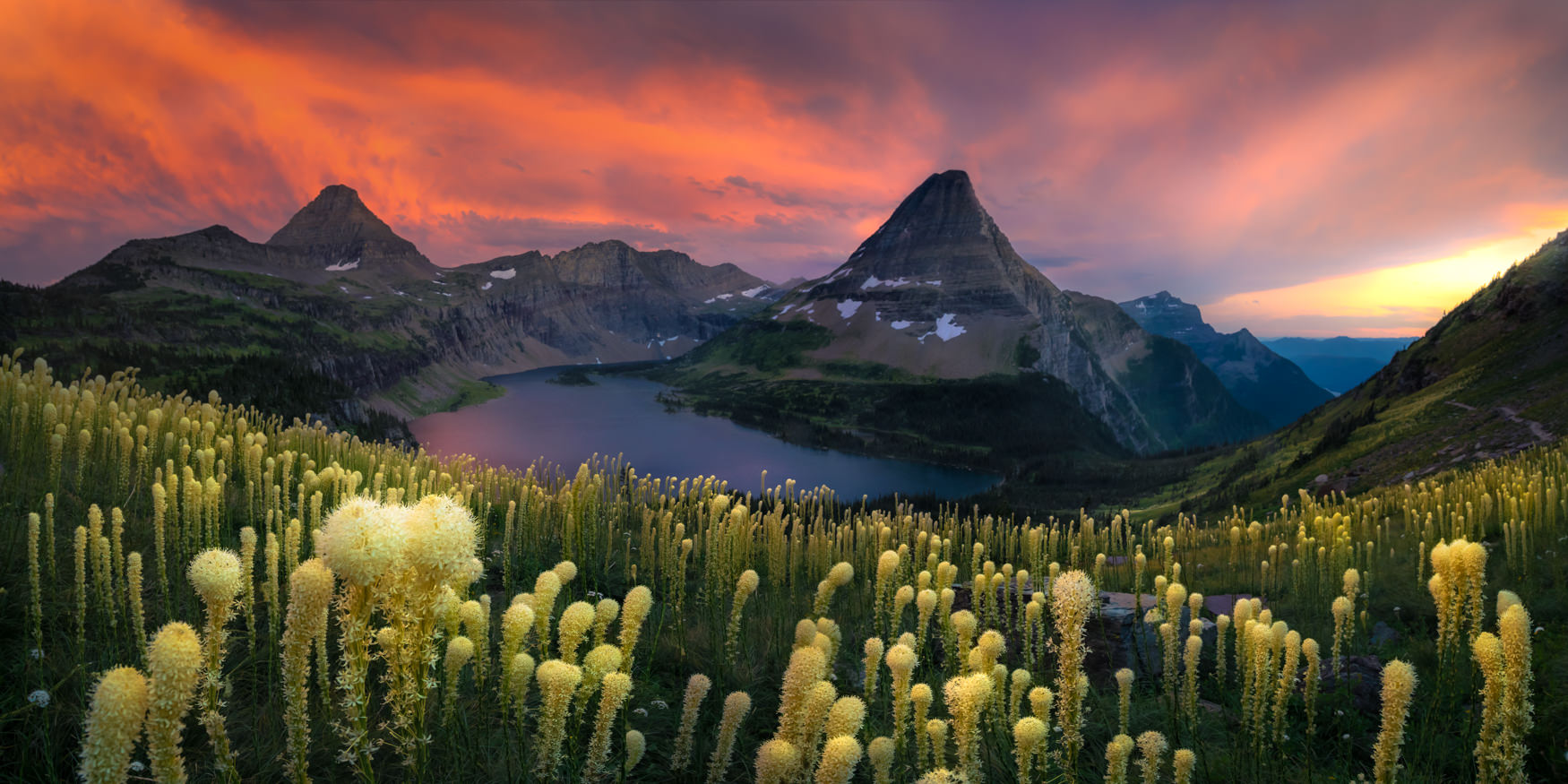 SUPERBLOOM (PANORAMA) Panoramic image of a hillside full of white beargrass and a land and mountain in the background and a orange and pink sunset sky.