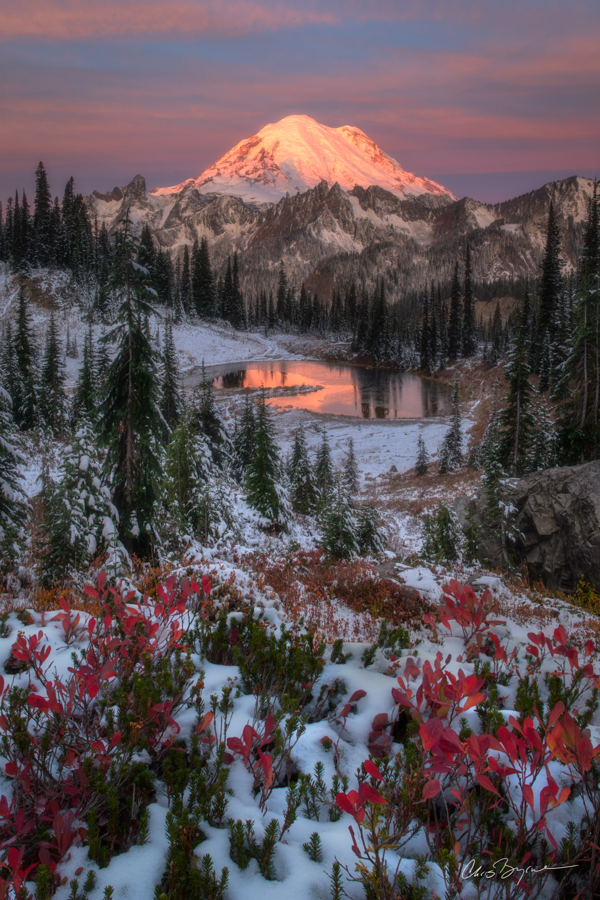 BETWEEN THE SEASONS Mount Rainier seen in the distance as red leaves popping through the snow and winter starts to take its grip in the Pacific Northwest.
