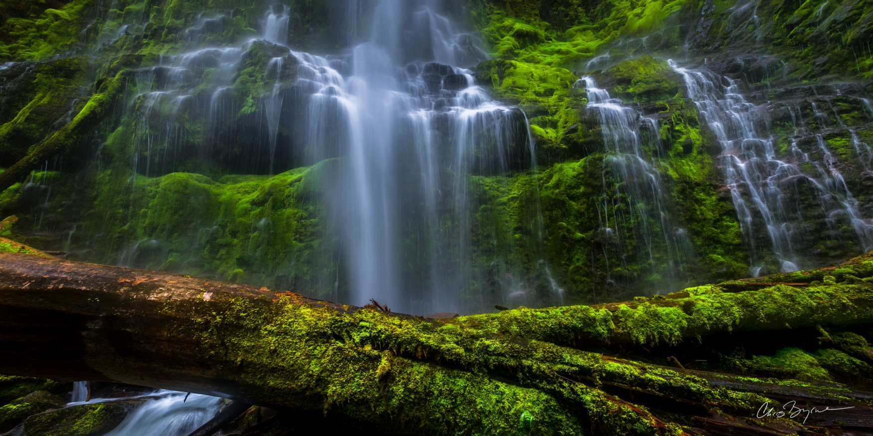 HIDDEN POWER (PANORAMA) Standing in front of Proxy Falls you can feel it. It overcomes you the closer that you get to this massive waterfall drop in...