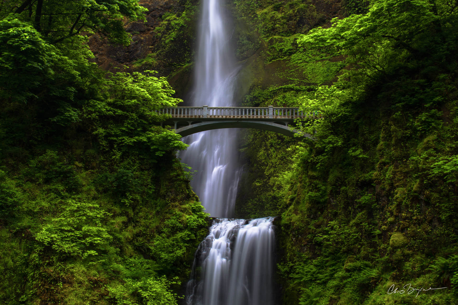 NORTHWEST SPIRIT Tall waterfall with two drops and a bridge that spans over the second drop in a forest of green trees, ferns and moss.