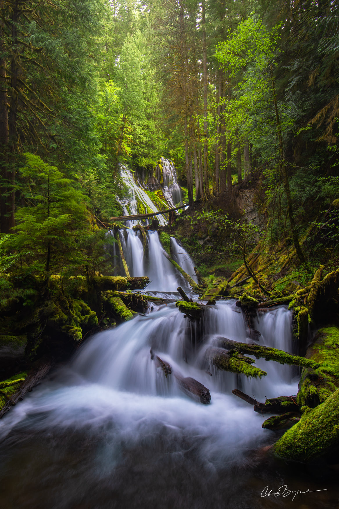 WATER TOWER Waterfall takes two drops as it falls 130 feet in a gorge in the vibrant, lush green forest with fallen trees covered in green moss.