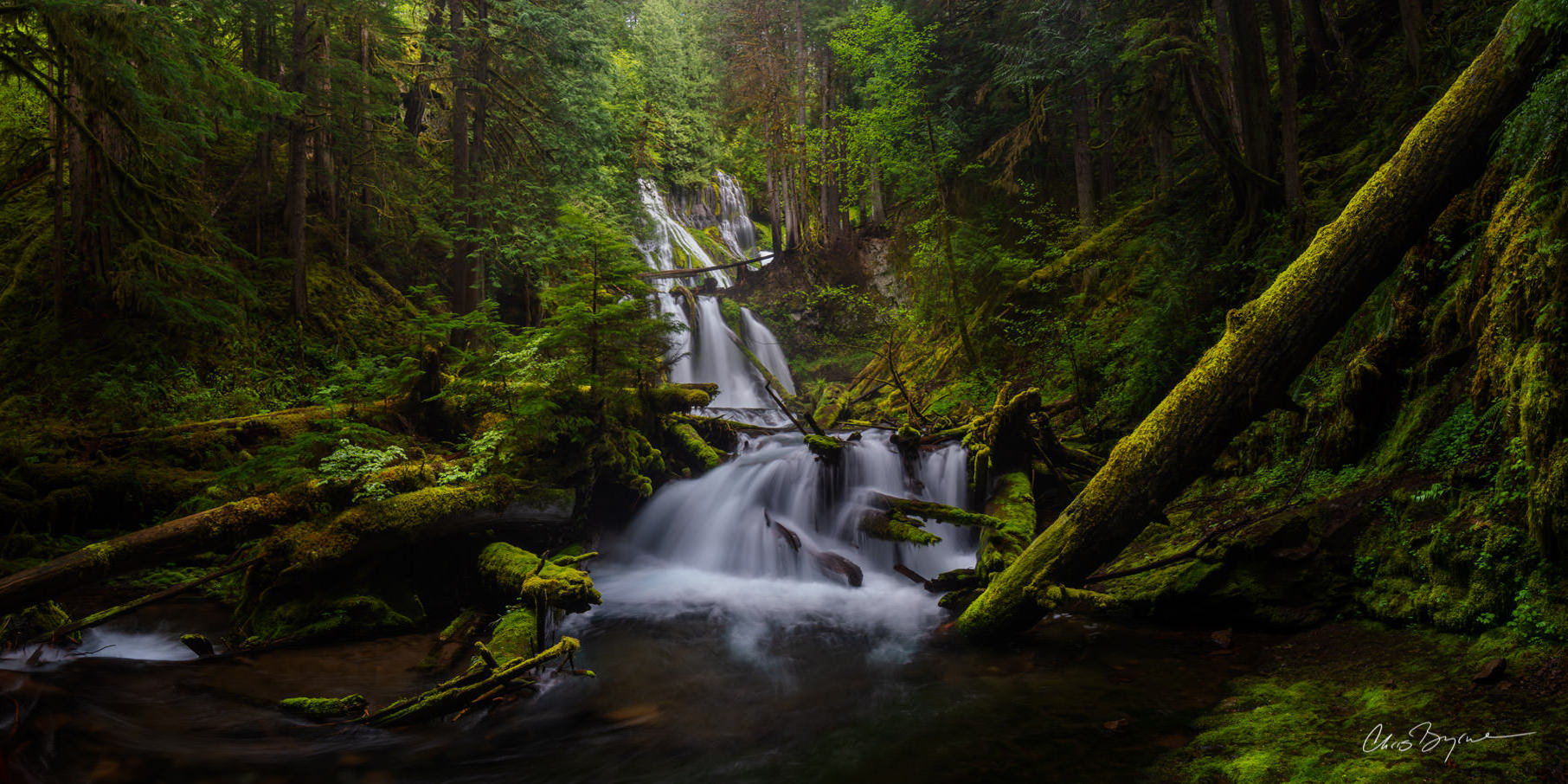 TERRARIUM (PANORAMA) A powerful waterfall in the heart of a Washington national forest, cascading down three big tiers, is surrounded by so much lush...