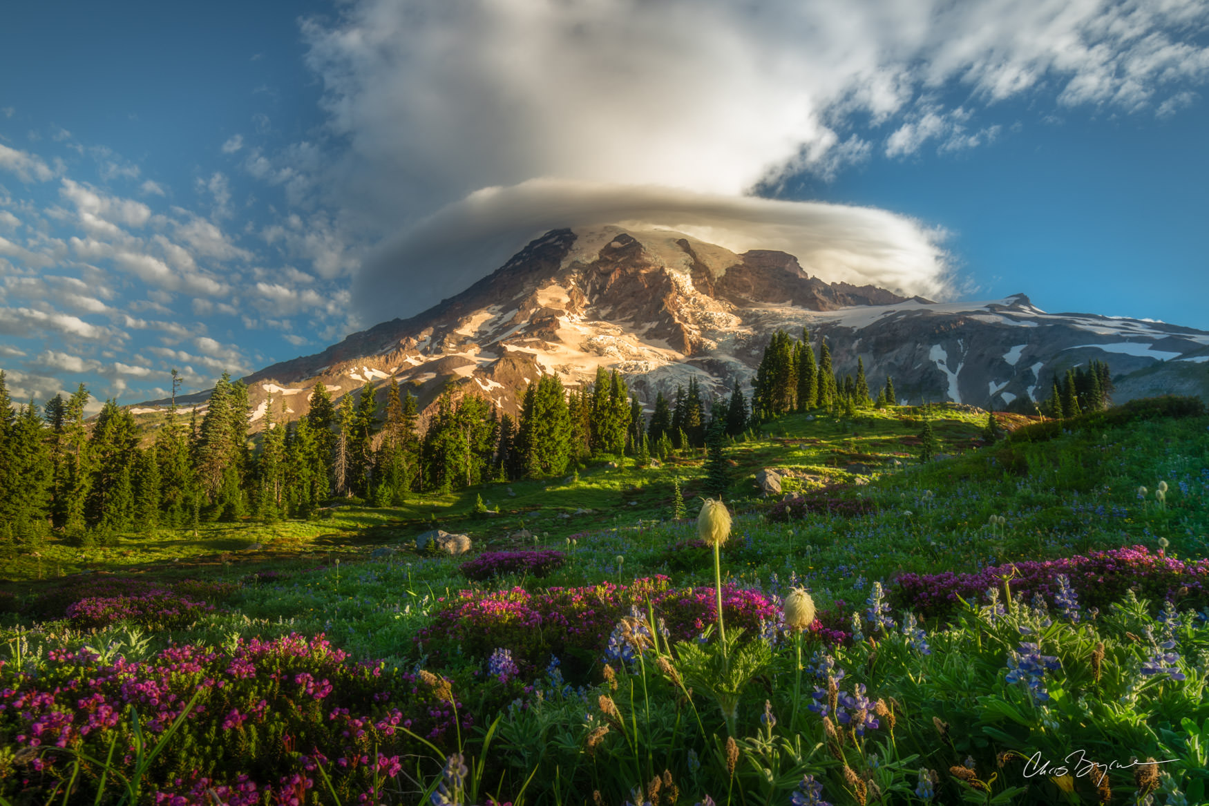 TOP HAT Mount Rainier with its peak surrounded by a circular cloud and a meadow of wildflowers seen at sunrise.